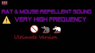 ⚠️Ultimate Version 🚫🐀🐁 Rat amp Mouse Repellent Sound Very High Frequency 6 Hour [upl. by Brittain]