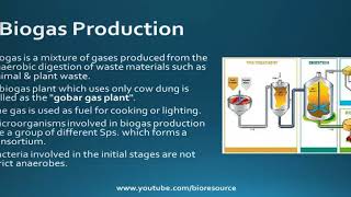 Biogas Methane Production  Process Applications Advantages and Disadvantages [upl. by Eahsat]