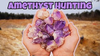 Finding INSANE Amethyst Quartz Crystals at the Jacksons Crossroads JXR Mine in Georgia [upl. by Leacim]