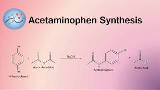 Acetaminophen Synthesis Mechanism  Organic Chemistry [upl. by Eenar]