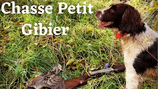 CHASSE PETIT GIBIER [upl. by Matthei]