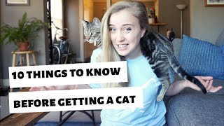 10 things I WISH I knew BEFORE getting a catkitten [upl. by Hayyifas]