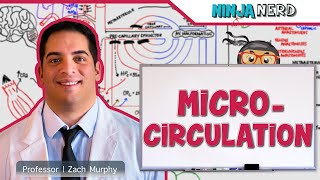 Cardiovascular  Microcirculation [upl. by Anissej]