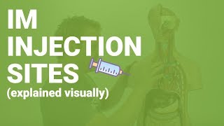 HOW TO GIVE IM INJECTIONS  sites considerations nursing care for nurses [upl. by Encratis]