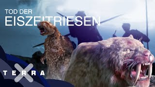 Fünf Fakten zum Ende der Megafauna  Terra X [upl. by Ayenet]