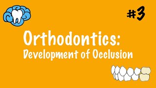 Orthodontics  Development of Occlusion  INBDE ADAT [upl. by Letitia]