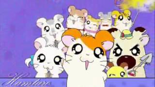 Hamtaro Opening Song Indonesia [upl. by Lauri]