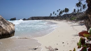 Beaches of Barbados [upl. by Girvin]