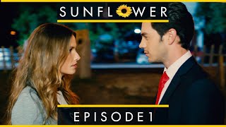 Sunflower  Episode 1 [upl. by Naic789]