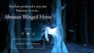 All Patronuses on Pottermore [upl. by Dieball]