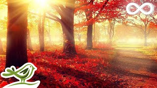 Beautiful Romantic Music Relaxing Music Piano Music Violin Music Guitar Music Sleep Music ★101 [upl. by Hasin]