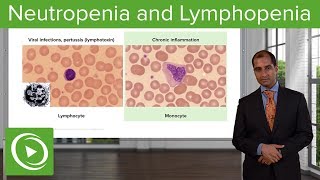 Quantitative WBC Disorders Leukocytosis amp Leukopenia – Pathology  Lecturio [upl. by Drusie]