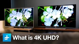 Everything You Need to Know About 4K UHD [upl. by Althee]