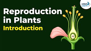 Introduction to Reproduction in Plants  Dont Memorise [upl. by Anekahs]