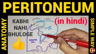 Abdominal Cavity Planes Compartments and Peritoneum Dr Adel Bondok [upl. by Anilehcim]