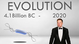 Human Evolution  41 Billion BC  2020 [upl. by Antoni47]