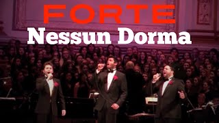 Forte  Nessun Dorma  Carnegie Hall Debut [upl. by Yrellav944]