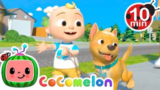 JJ Song  Full Episode  Cocomelon Animals  Kids TV Shows Full Episodes [upl. by Bagger]