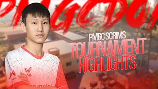 PMGC SCRIM  TOURNAMENT HIGHLIGHT🔥 [upl. by Floyd]