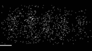 The Double Slit Experiment Performed With Electrons [upl. by Horan]