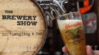 Yuengling Brewery  Brewery Show [upl. by Nimesh409]