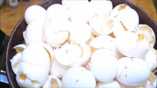 How to Process Egg Shells for Use [upl. by Lotus]