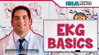 Cardiovascular  EKG Basics [upl. by Nyrb]