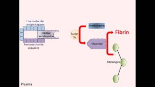 Heparin  Mechanism of Action [upl. by Iroj]