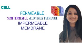 PermeableSemi PermeableSelectively PermeableImpermeable MembraneDifferenceCell [upl. by Scribner]