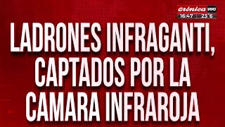 Ladrones infraganti captados por la cámara infrarroja [upl. by Gaven379]