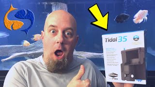 An Amazing Fish Tank Filter Seachem Tidal 35 Hang On Back Aquarium Filter UnboxingInstallReview [upl. by Ylecara]