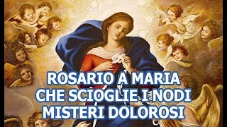 Rosario a Maria che scioglie i nodi  Misteri Dolorosi [upl. by Syl]