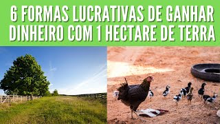 6 formas de GANHAR DINHEIRO com 1 hectare de terra [upl. by Linnette]