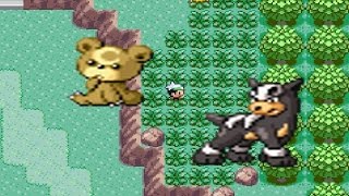 How to find Houndour and Teddiursa in Pokemon Emerald [upl. by Som]