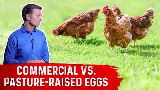 Commercial Eggs vs PastureRaised Eggs – DrBerg [upl. by Bilicki]