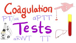 Coagulation Tests  PT aPTT TT Fibrinogen Mixing Studies [upl. by Chryste545]