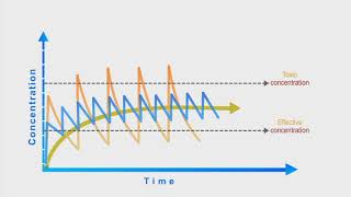 Pharmacokinetics animation Dosing Interval [upl. by Enwahs679]