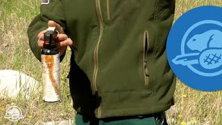 How to Use Bear Spray  Banff National Park [upl. by Kubetz982]