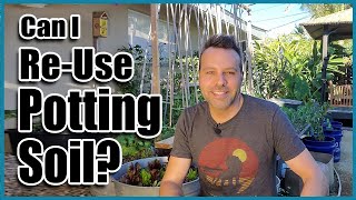 Can I Reuse Old Potting Soil in Containers  How to Revitalize Old Potting Soil [upl. by Aneekas430]