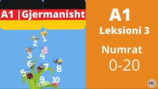 A1  Leksioni 3  Numrat 020  Zahlen 020  Meso Gjermanisht  O Gjerman [upl. by Aneelahs]