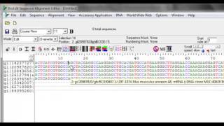 Sequence editing in Bioedit [upl. by Magas]