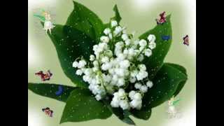 1ER MAI MUGUET cartes virtuelles [upl. by Nosiddam]