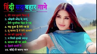 Dil Tera Deewana – Lily Matinez  Official Exclusive [upl. by Vivia]