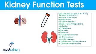 Kidney Function Tests and Interpretation of Results [upl. by Ziladnerb]