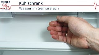 Kühlschrank  Wasser im Gemüsefach [upl. by Sammie]