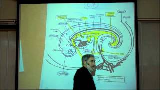 INTRO TO HUMAN EMBRYOLOGY PART 2 by Professor Fink [upl. by Anicart]