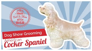 Dog Show Grooming How to Groom an American Cocker Spaniel [upl. by Tamma488]