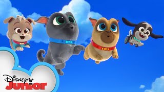 Cupcakes Birthday  Puppy Dog Pals  disneyjr [upl. by Horwath]