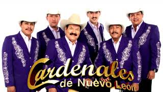 LOS CARDENALES DE NUEVO LEON MIX LAS MAS DOLIDAS [upl. by Alleira]