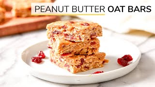 NO BAKE PEANUT BUTTER OAT BARS  4ingredient oatmeal bars [upl. by Eyr102]